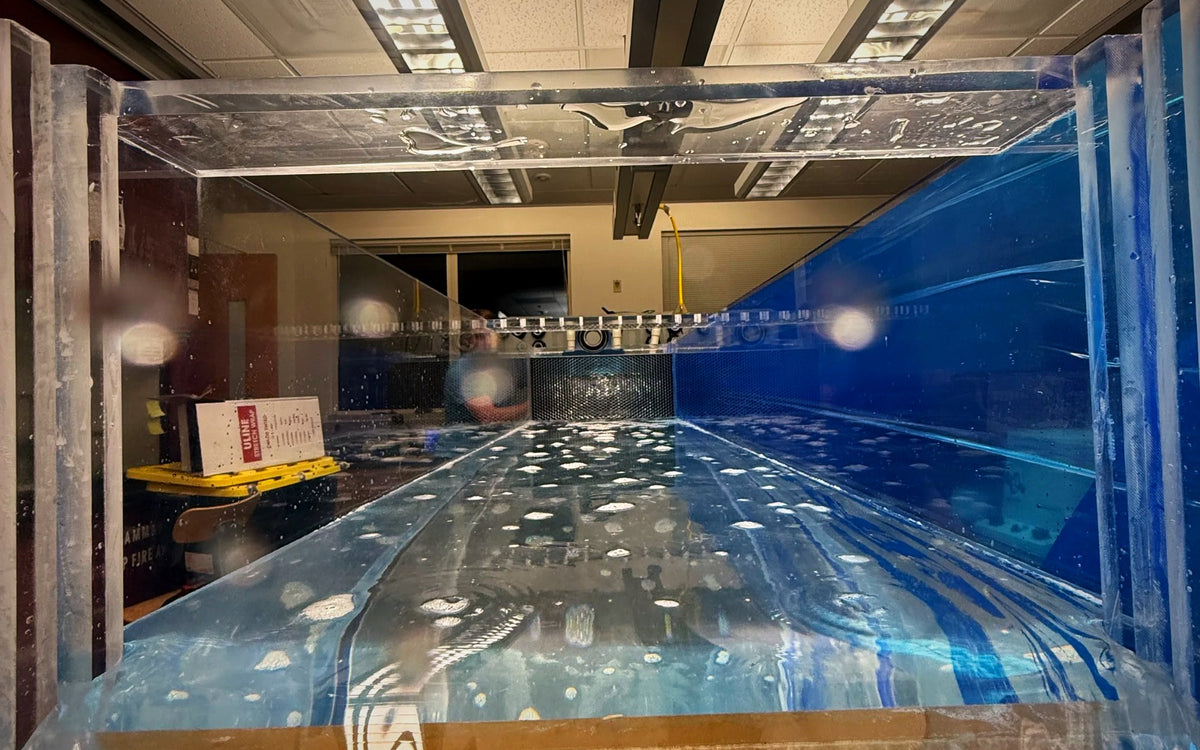 Large recirculating flume built for bivalve research
